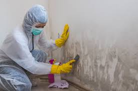 Best Forensic Mold Investigation  in USA